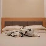 Casa Mia Plebiscito